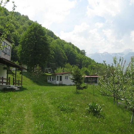 Bungalows Zdravets Berkovitsa Exterior foto