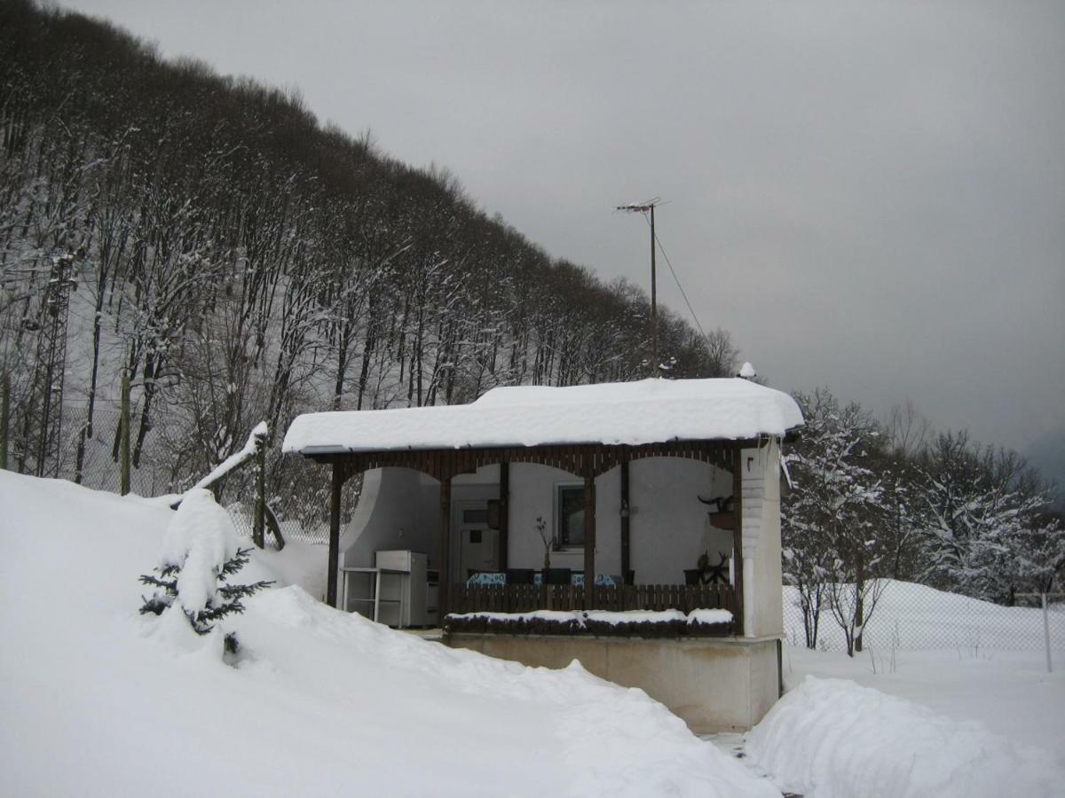 Bungalows Zdravets Berkovitsa Exterior foto