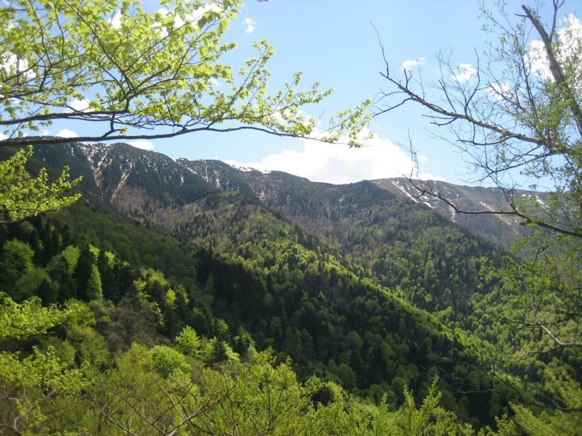 Bungalows Zdravets Berkovitsa Exterior foto